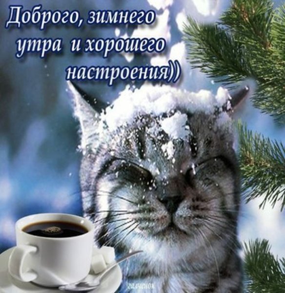 С добрым зимним утром