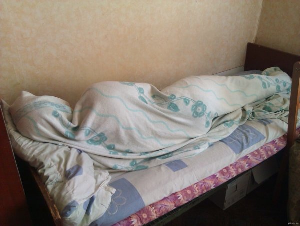 Доброе утро студент