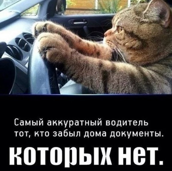 Шутки про автомобилистов