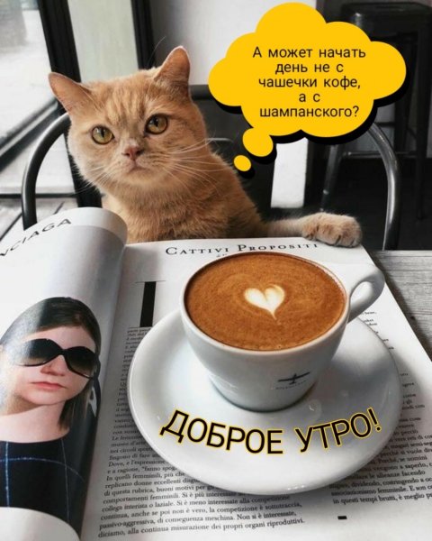 С добрым утром кофе прикольные