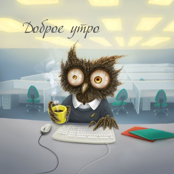 Доброе утро Сова