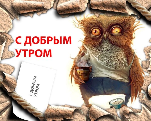 Доброе утро прикол