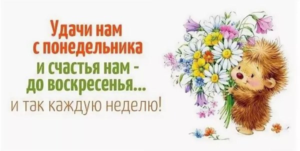 Хорошего дня и отличного настроения понедельник