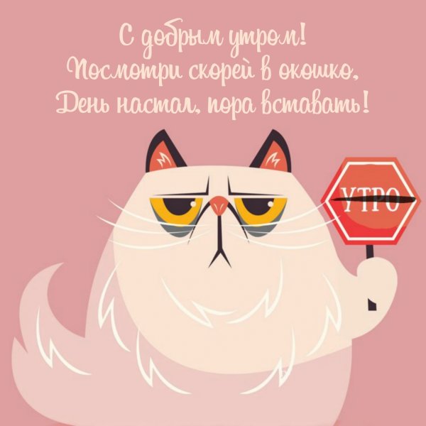 С добрым утром юмор