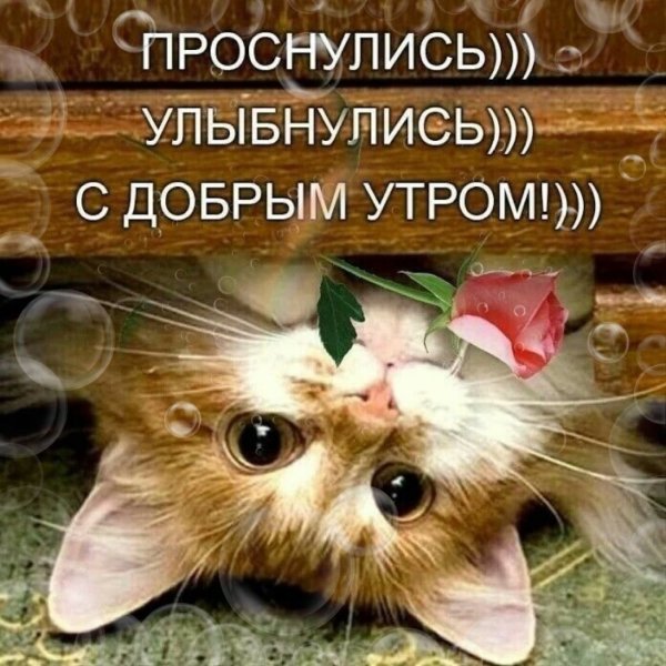 Просыпаемся улыбаемся с добрым утром