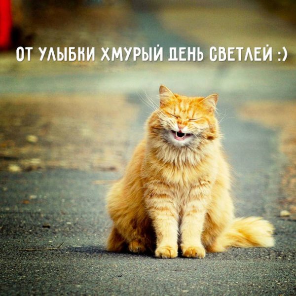 Доброе хмурое утро