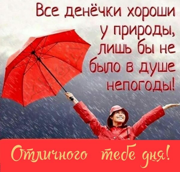 Хорошего настроения в дождливую погоду