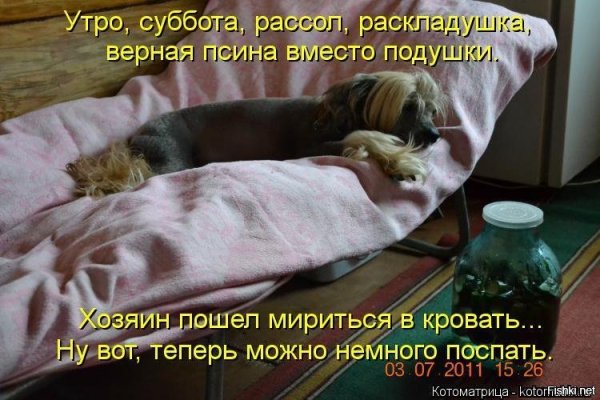 Доброго субботнего утра прикольные