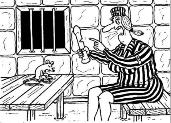 За решеткой карикатура