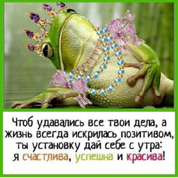 Позитивные фразы