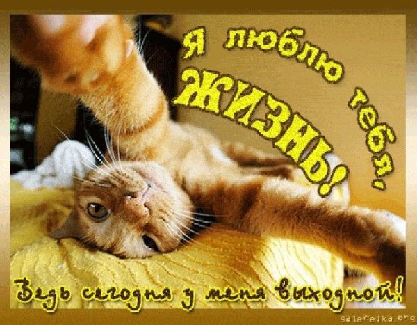 Открытки с выходными прикольные