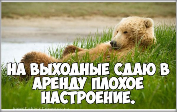 Высказывания про субботу