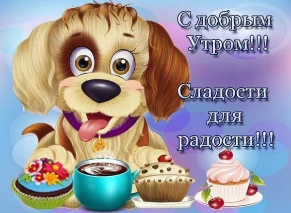 Смешные поздравления с добрым утром
