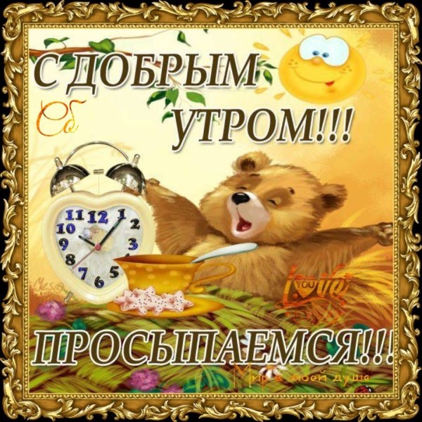 Открытки доброе утро прикольные