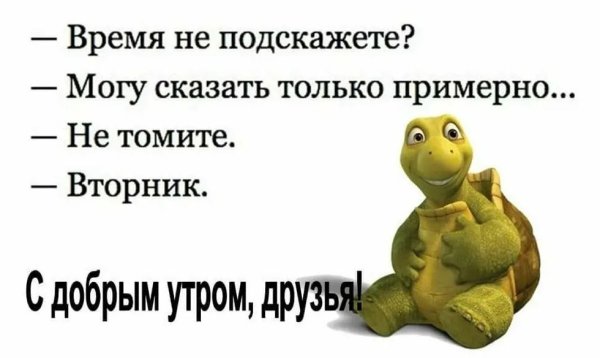 Вторник приколы
