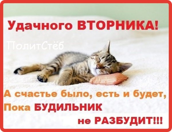 Открытки вторник