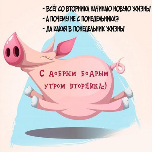 Доброе утро вторника