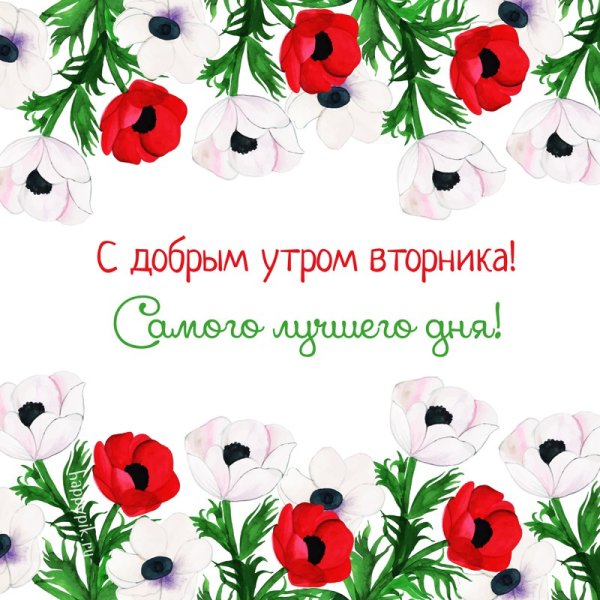 Открытки с добрым утромвторн ка