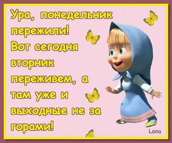 Открытка со вторником смешная