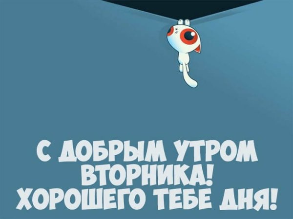 С добрым утром вторника прикольные