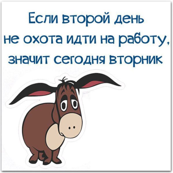 Вторник картинки смешные
