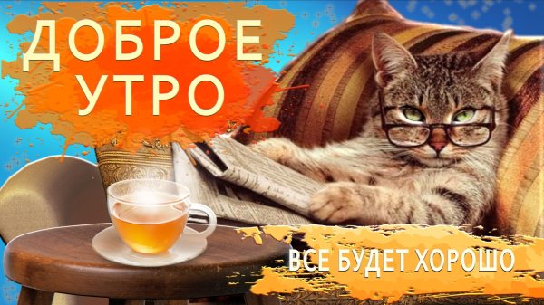 Открытки с добрым утром прикольные