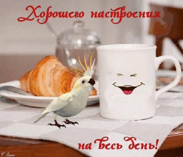 Доброго утра хорошего дня и отличного настроения