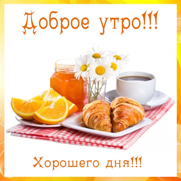 Открытка с добрым утром хорошего дня