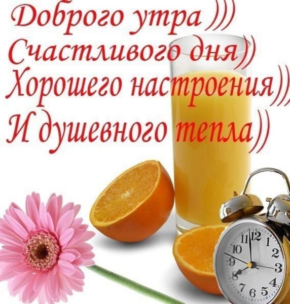 Доброе утром ихорршеготдня