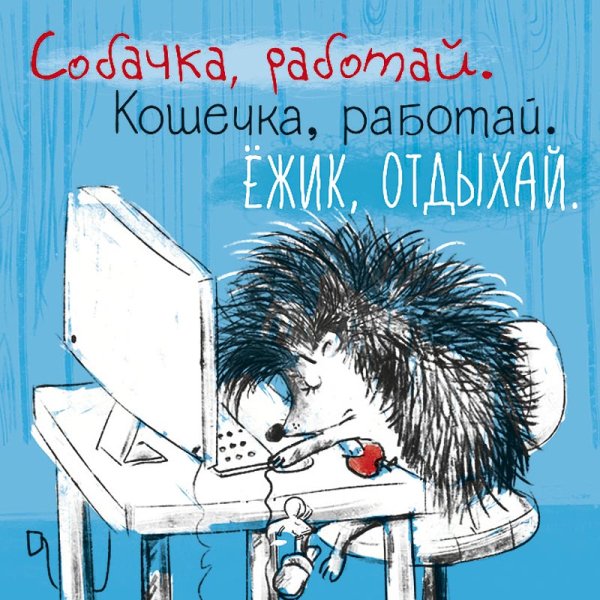 Уставший Ежик