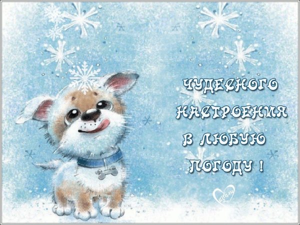 Зимнее настроение