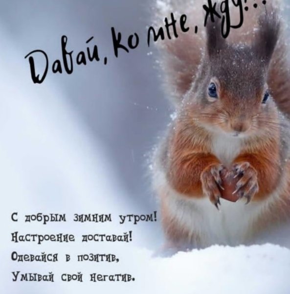 С добрым зимним