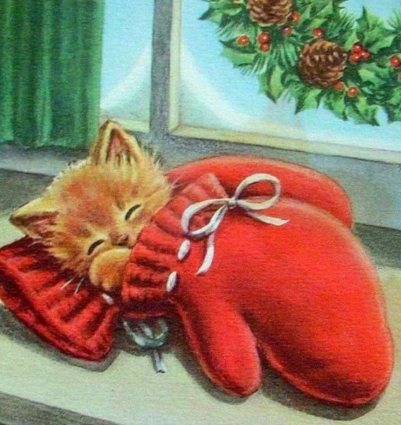 Сладких снов котик