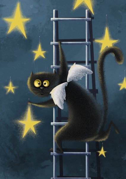 Кот и звезды