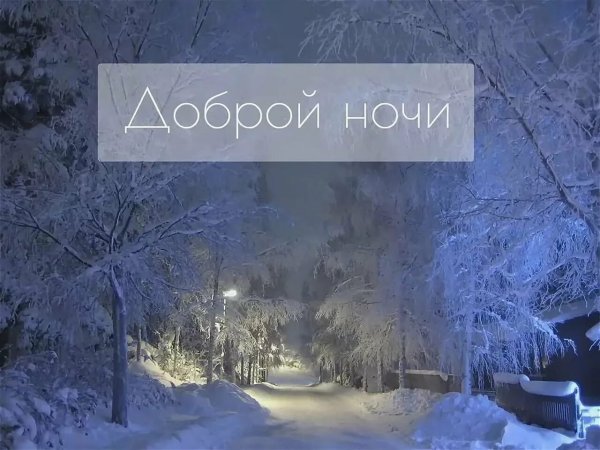 Спокойной ночи зима