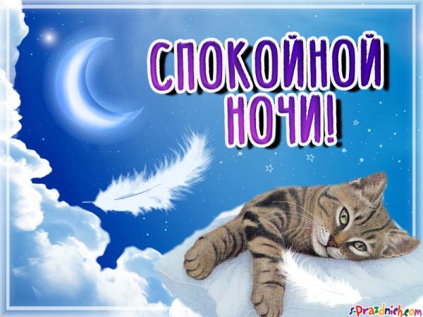 Поздравление спокойной ночи
