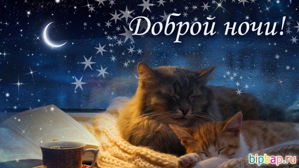 Доброй ночи