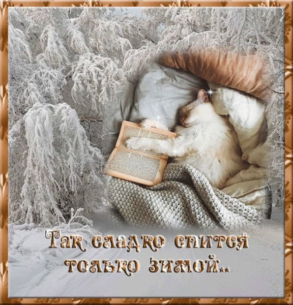 Зимний сон