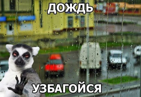 Шутки про дождь