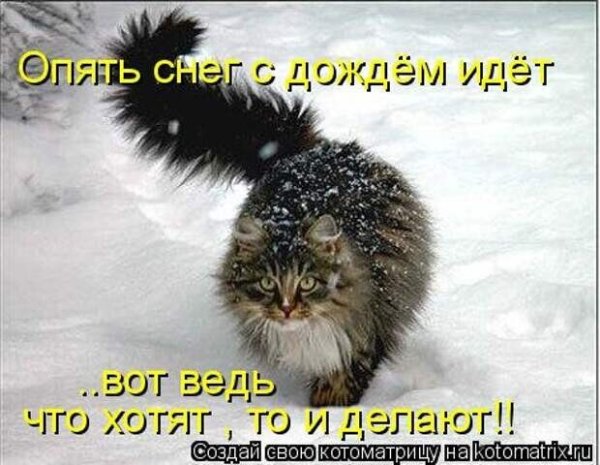 Весна пришла снег