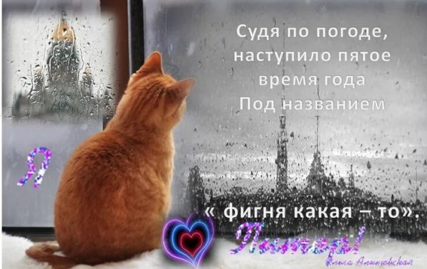 Доброе дождливое и Снежное утро