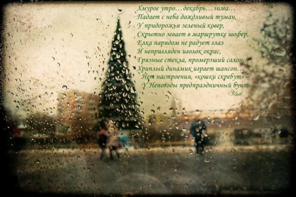 Доброе дождливое зимнее утро