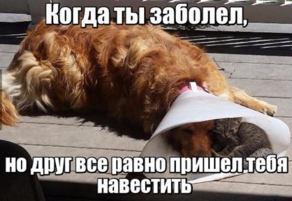 Когда друг заболел