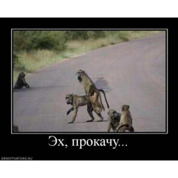 Эх прокачу картинки