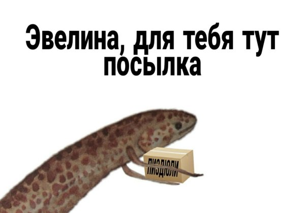 Мемы про Эвелину