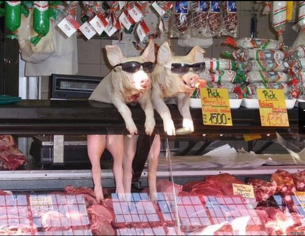 Смешные продукты