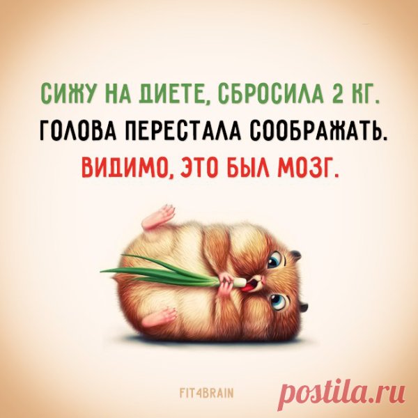 Фитнес для мозга высказывания