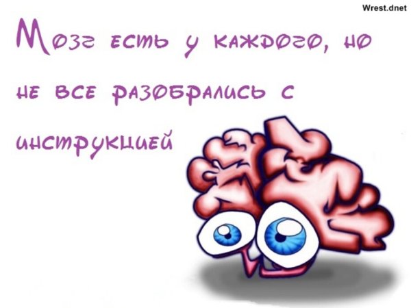 Смешные цитаты