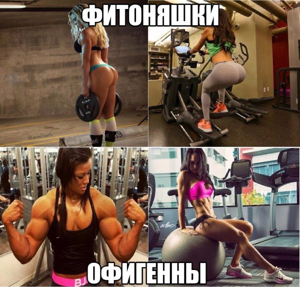 Приколы про фитоняшек