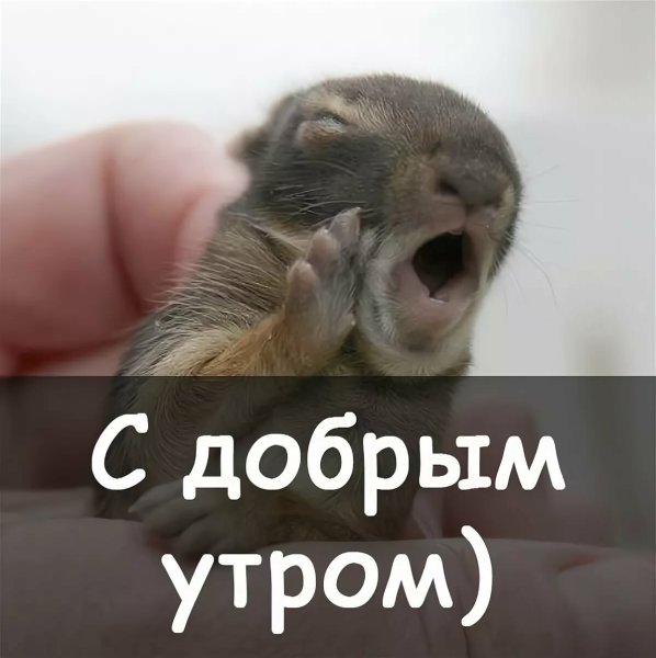 Прикольное доброе утрр